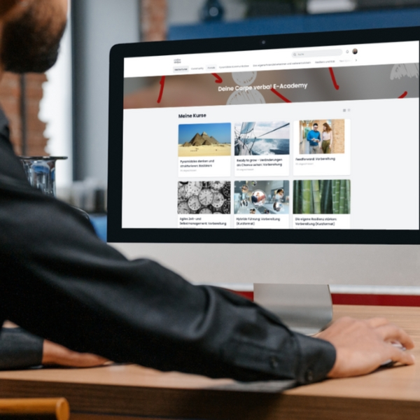 Bei Carpe Verba bieten wir im Bereich Pyramidale Kommunikation das E-Learning Pyramidales Denken an.