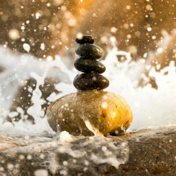 Bei Carpe Verba bieten wir im Bereich Persönlich Wachsen den Impulsvortrag Resilienz für den Alltag an.