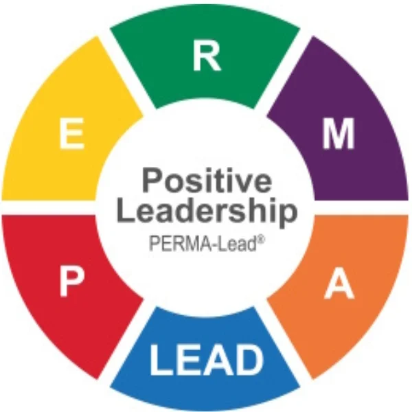 Prozessbegleitung - Organisationsdiagnostik mit PERMA-Lead®