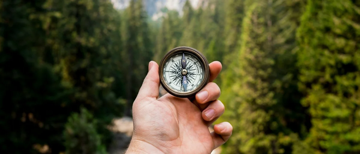 Eine Hand hält einen Kompass, der Orientierung und Veränderungsfähigkeit darstellen sollt.